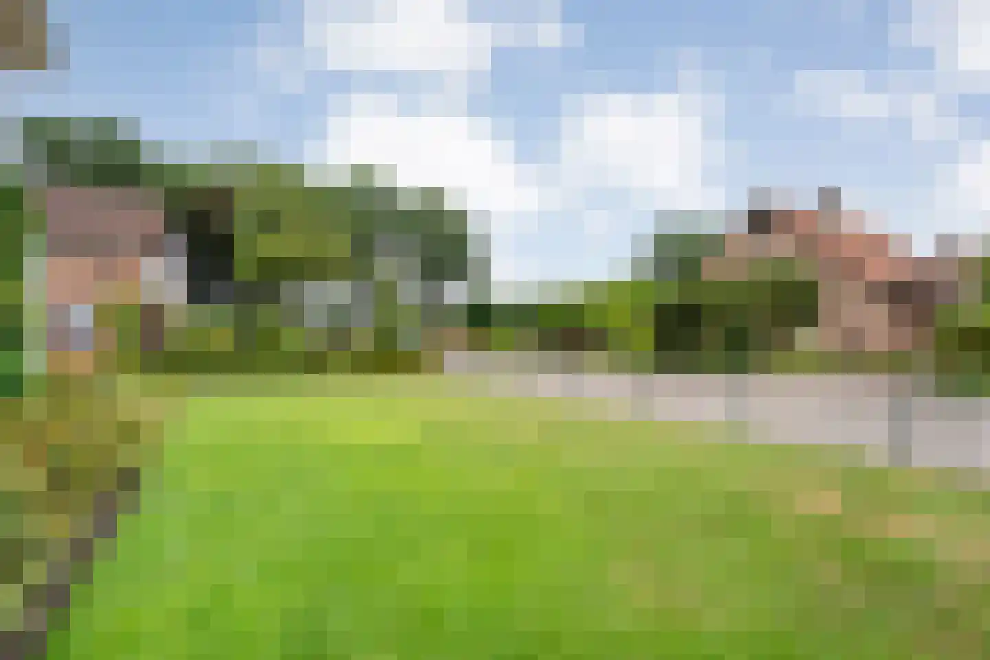 Esdoorn 6 Heino thumbnail 77