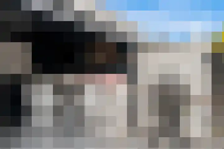 Esdoorndreef 103 Vlaardingen thumbnail 27