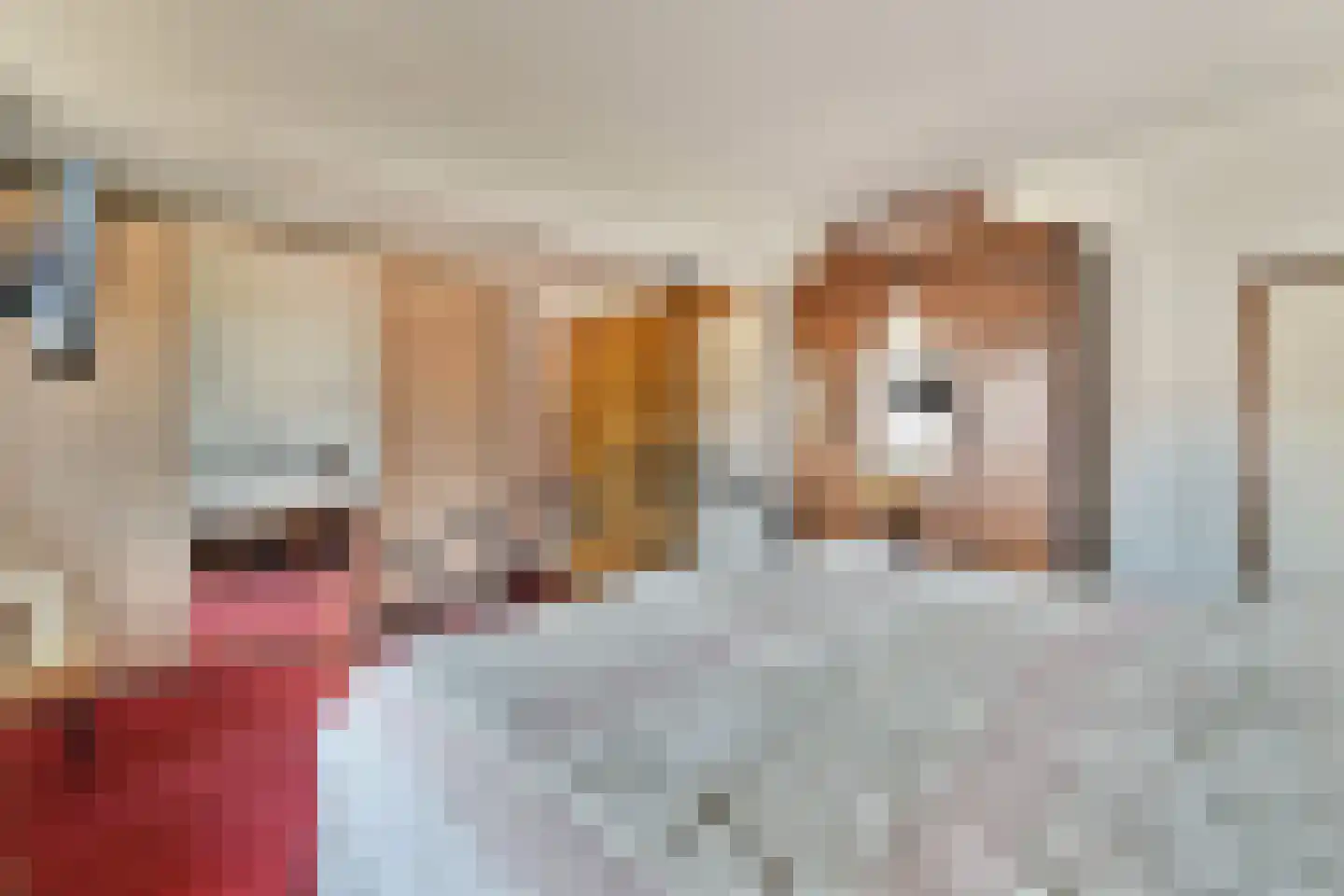Esdoorndreef 114 Vlaardingen thumbnail 16