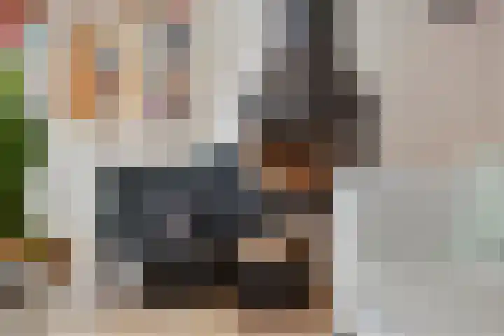 Esdoorndreef 12 Renkum thumbnail 10