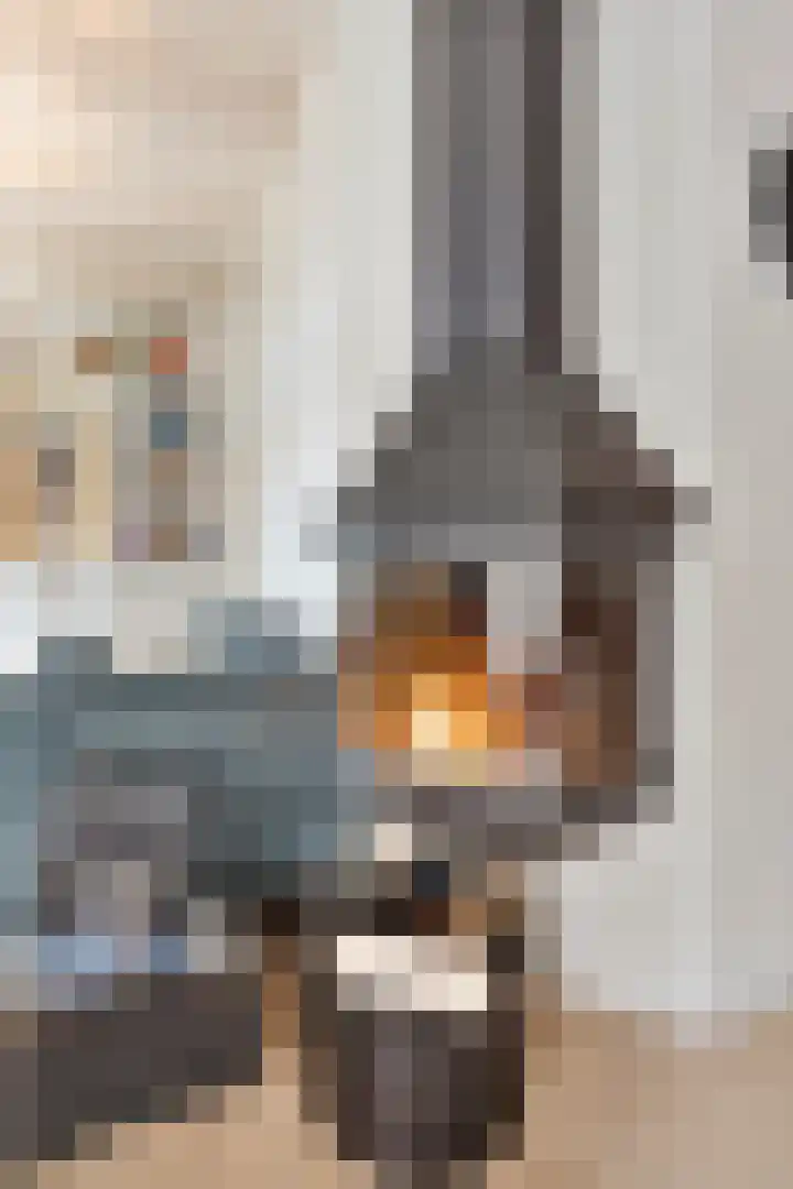 Esdoorndreef 12 Renkum thumbnail 11