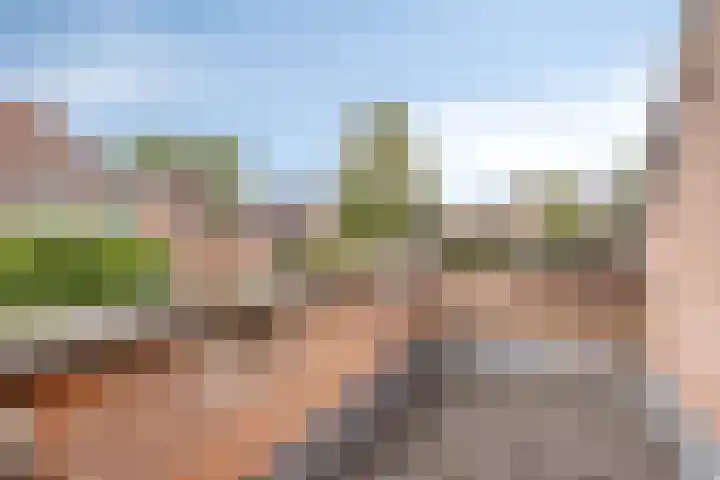 Esdoorndreef 12 Renkum thumbnail 22