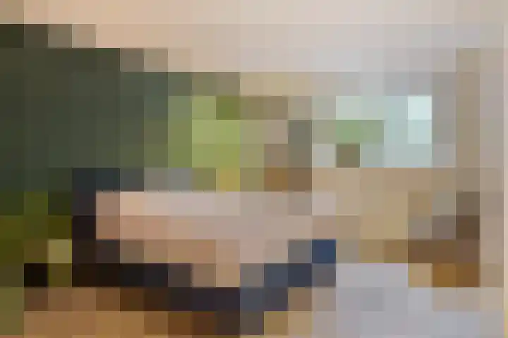 Esdoorndreef 12 Renkum thumbnail 29