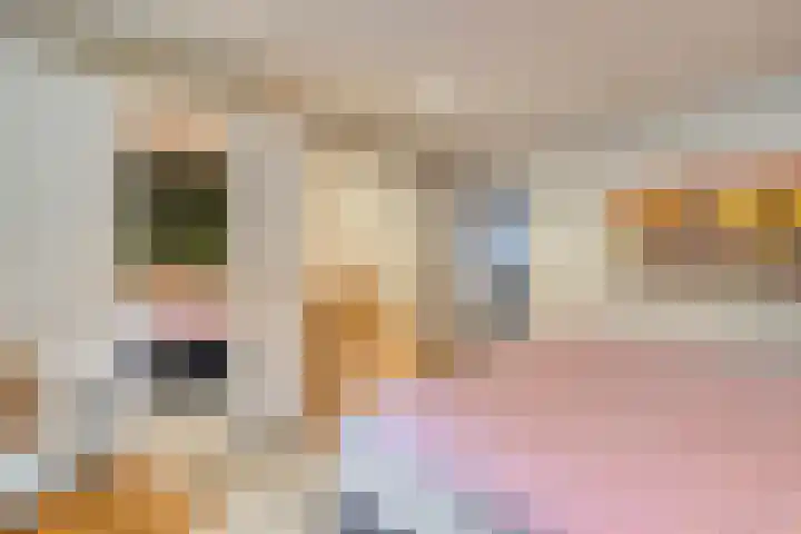 Esdoorndreef 12 Renkum thumbnail 30