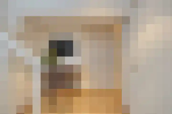 Esdoorndreef 12 Renkum thumbnail 32