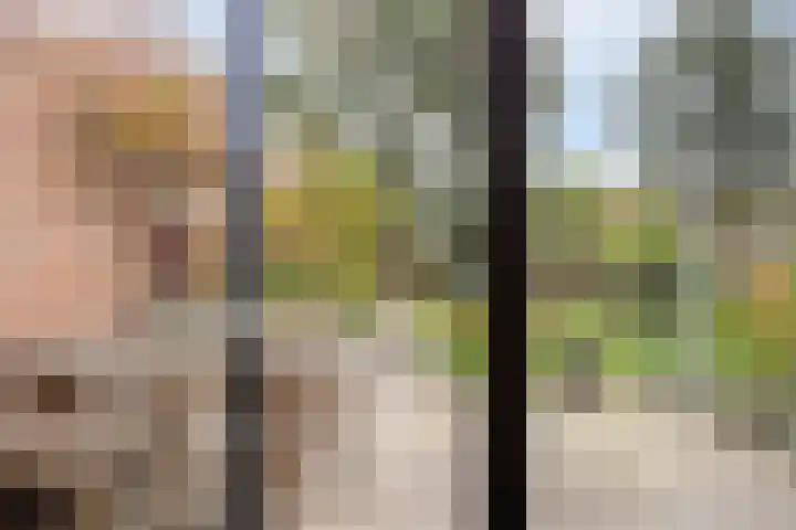 Esdoorndreef 12 Renkum thumbnail 34