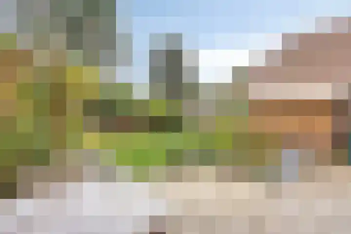 Esdoorndreef 12 Renkum thumbnail 35
