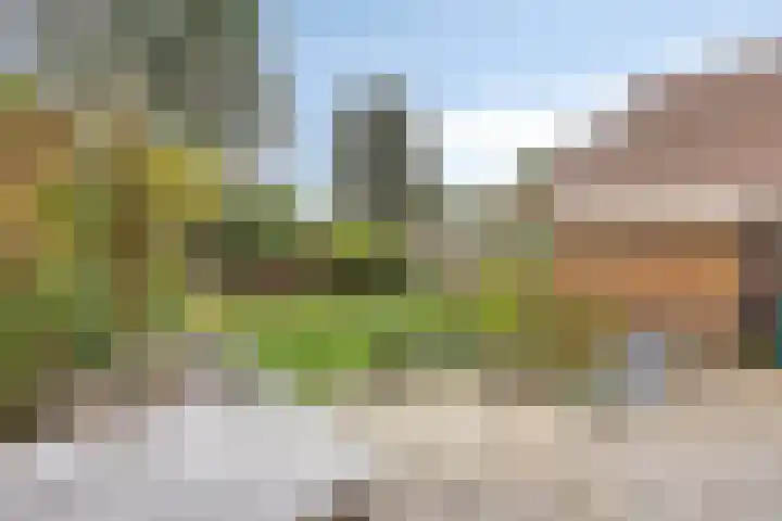 Esdoorndreef 12 Renkum thumbnail 36