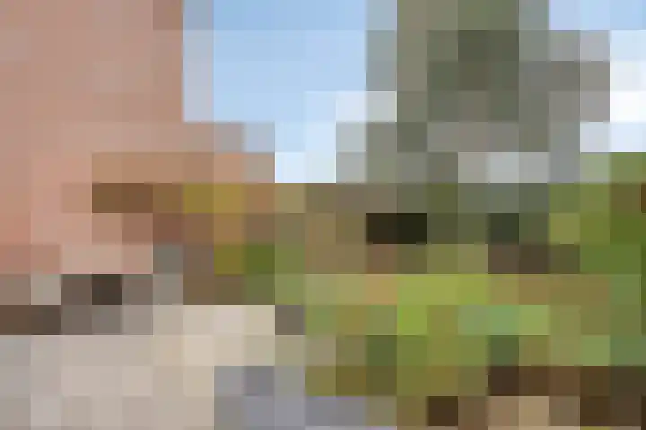 Esdoorndreef 12 Renkum thumbnail 37