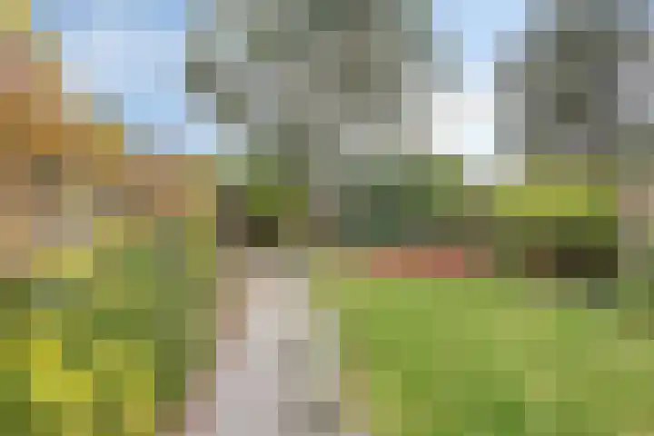 Esdoorndreef 12 Renkum thumbnail 38