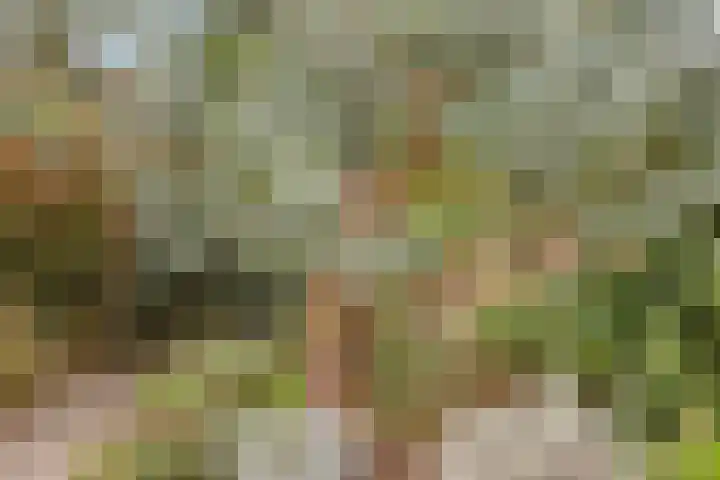 Esdoorndreef 12 Renkum thumbnail 39