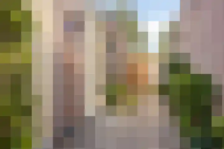 Esdoorndreef 12 Renkum thumbnail 4