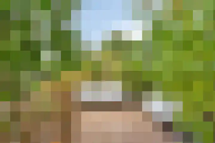 Esdoorndreef 12 Renkum thumbnail 40
