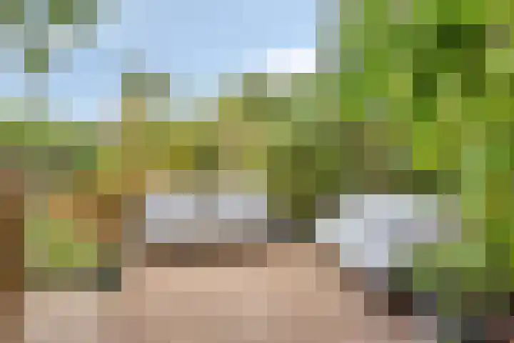 Esdoorndreef 12 Renkum thumbnail 41