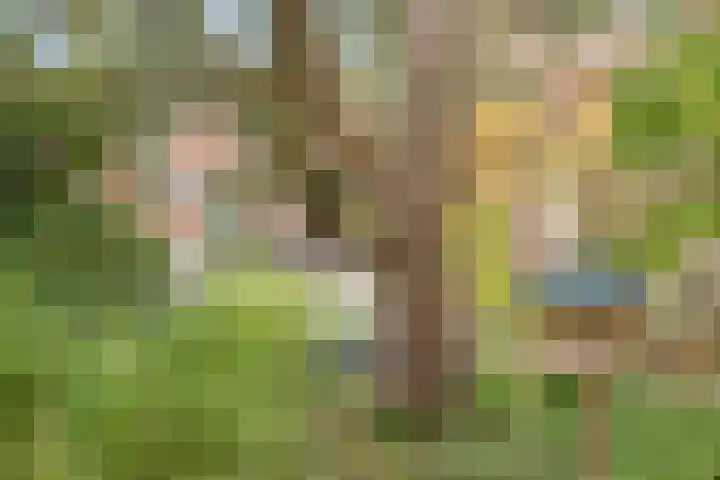 Esdoorndreef 12 Renkum thumbnail 44