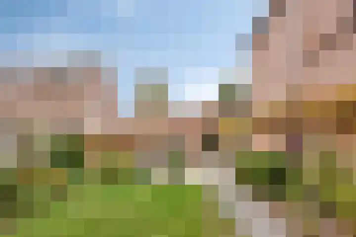 Esdoorndreef 12 Renkum thumbnail 45