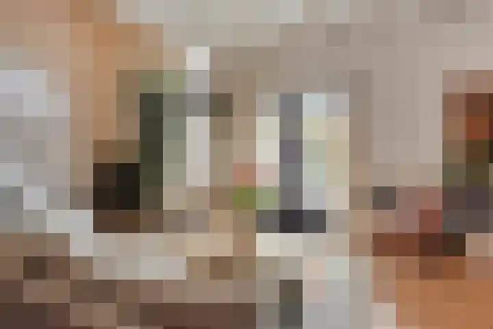 Esdoorndreef 12 Renkum thumbnail 8