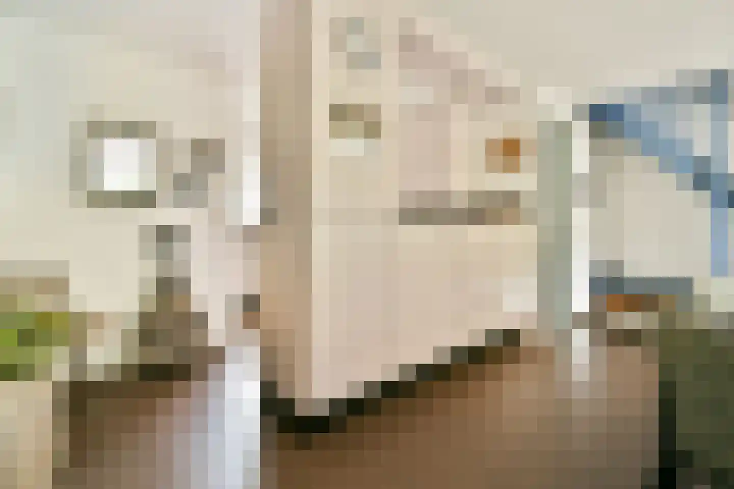 Esdoorndreef 33 Vlaardingen thumbnail 12