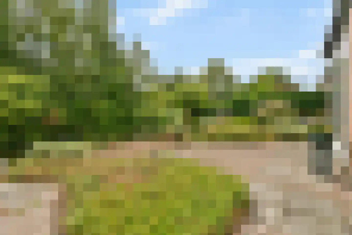 Esdoorndreef 33 Vlaardingen thumbnail 16
