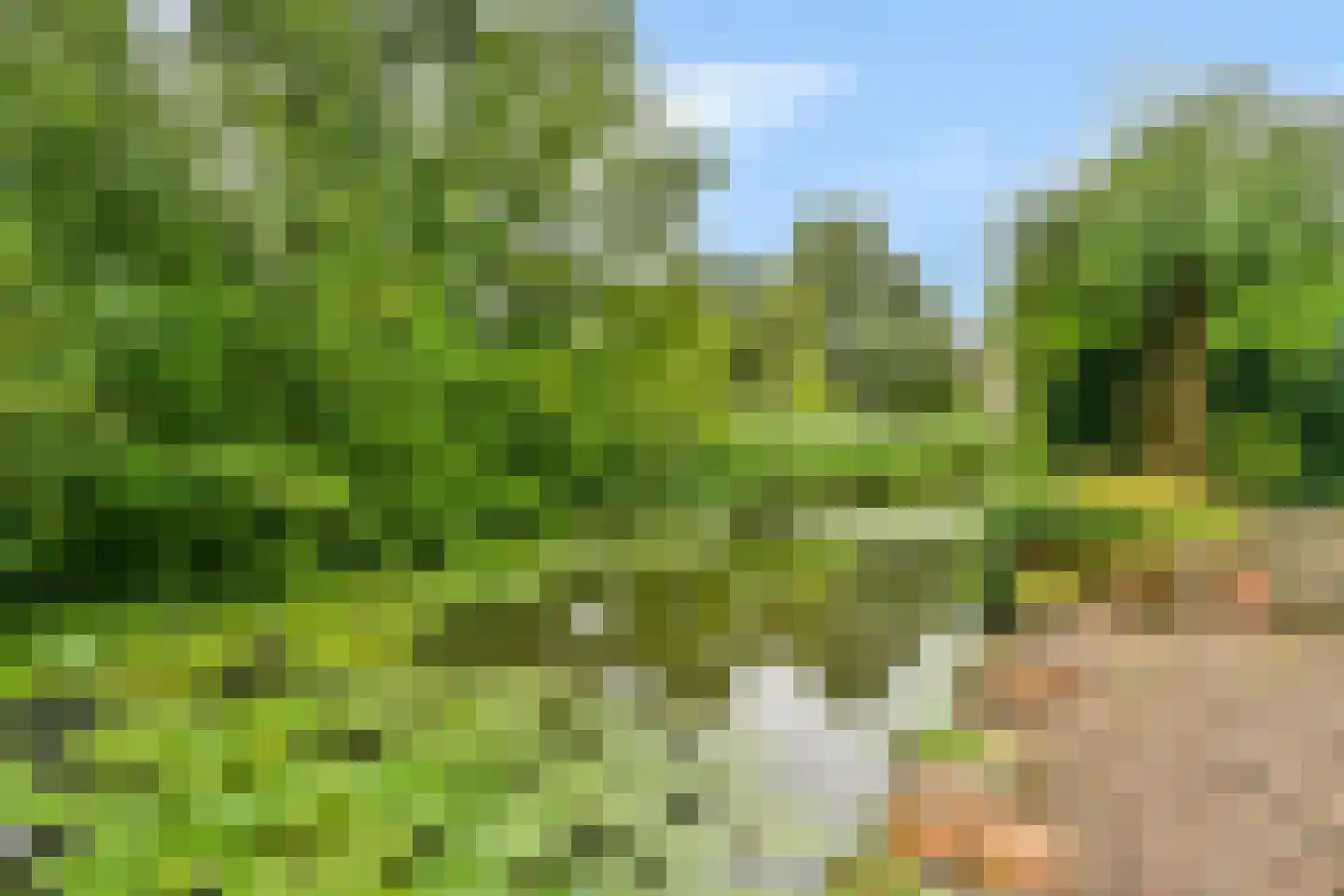 Esdoorndreef 33 Vlaardingen thumbnail 19