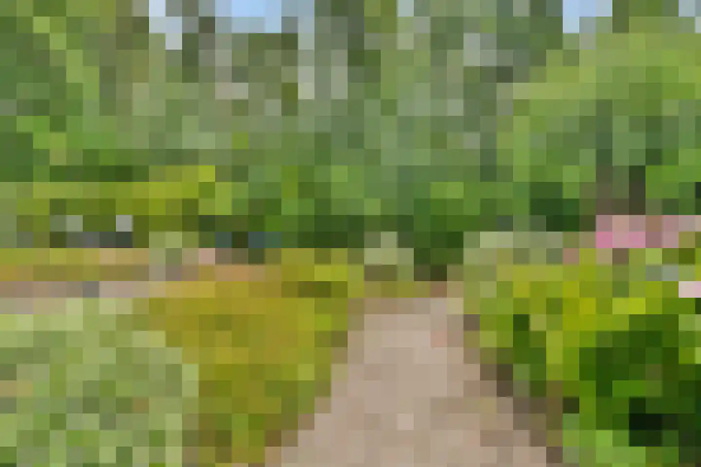 Esdoorndreef 33 Vlaardingen thumbnail 20