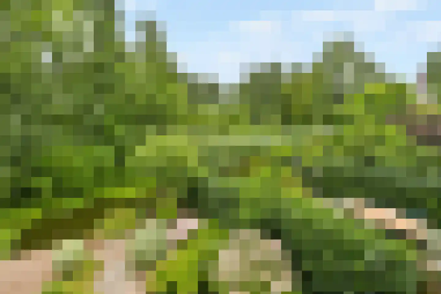 Esdoorndreef 33 Vlaardingen thumbnail 24