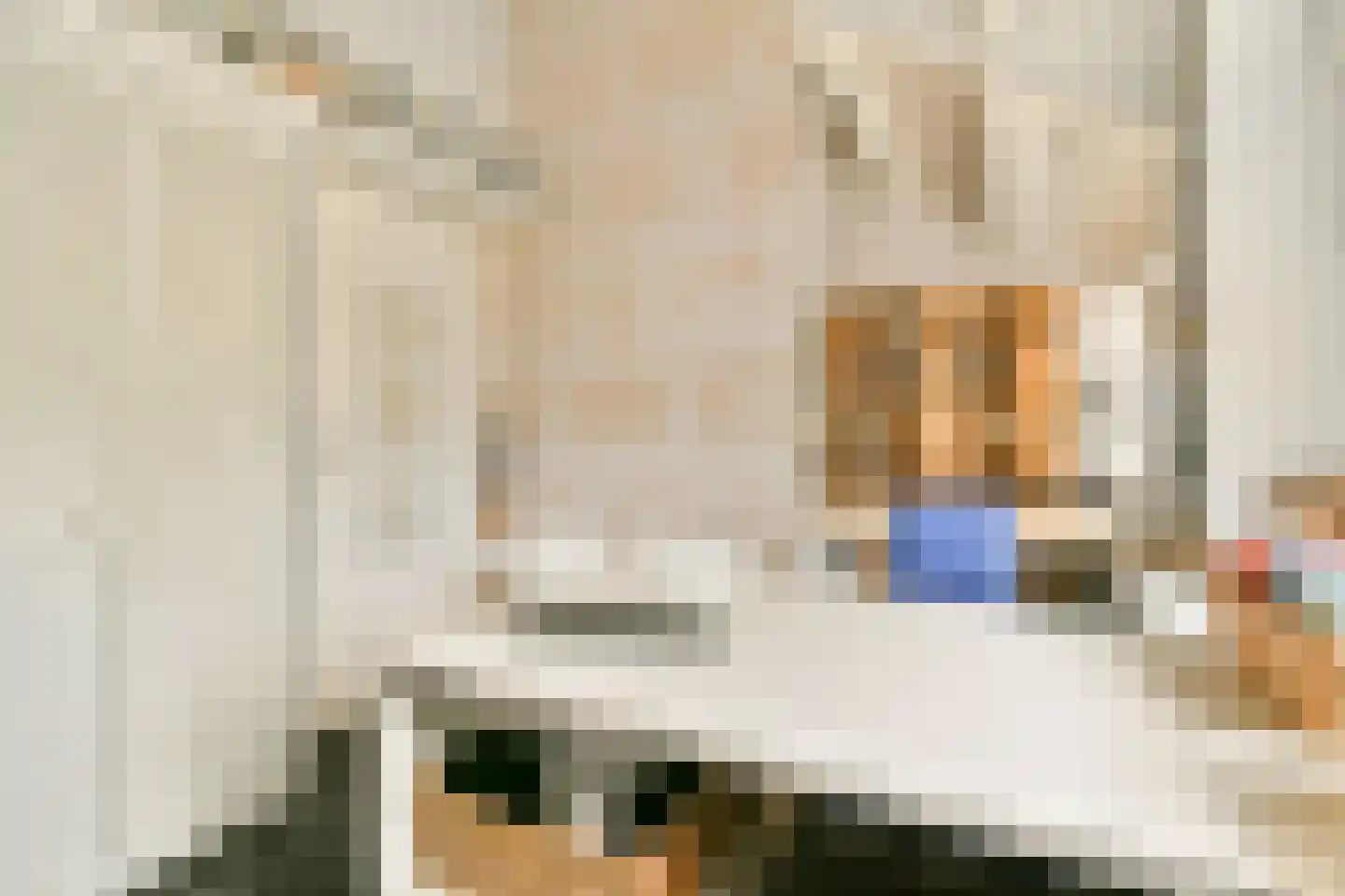 Esdoorndreef 33 Vlaardingen thumbnail 32