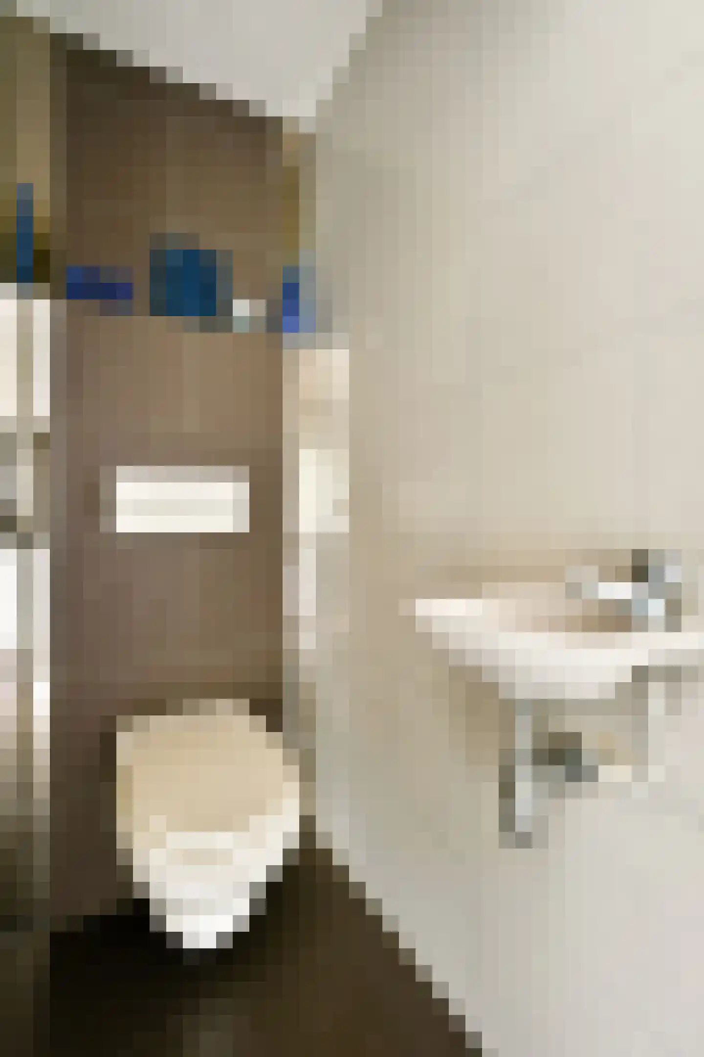 Esdoorndreef 33 Vlaardingen thumbnail 38