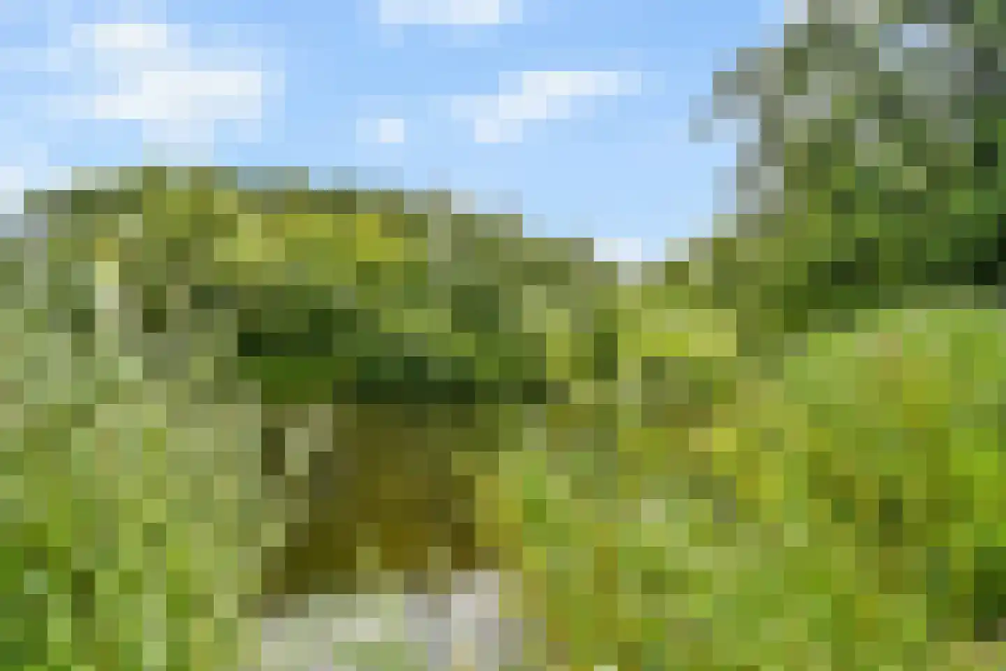 Esdoorndreef 33 Vlaardingen thumbnail 40