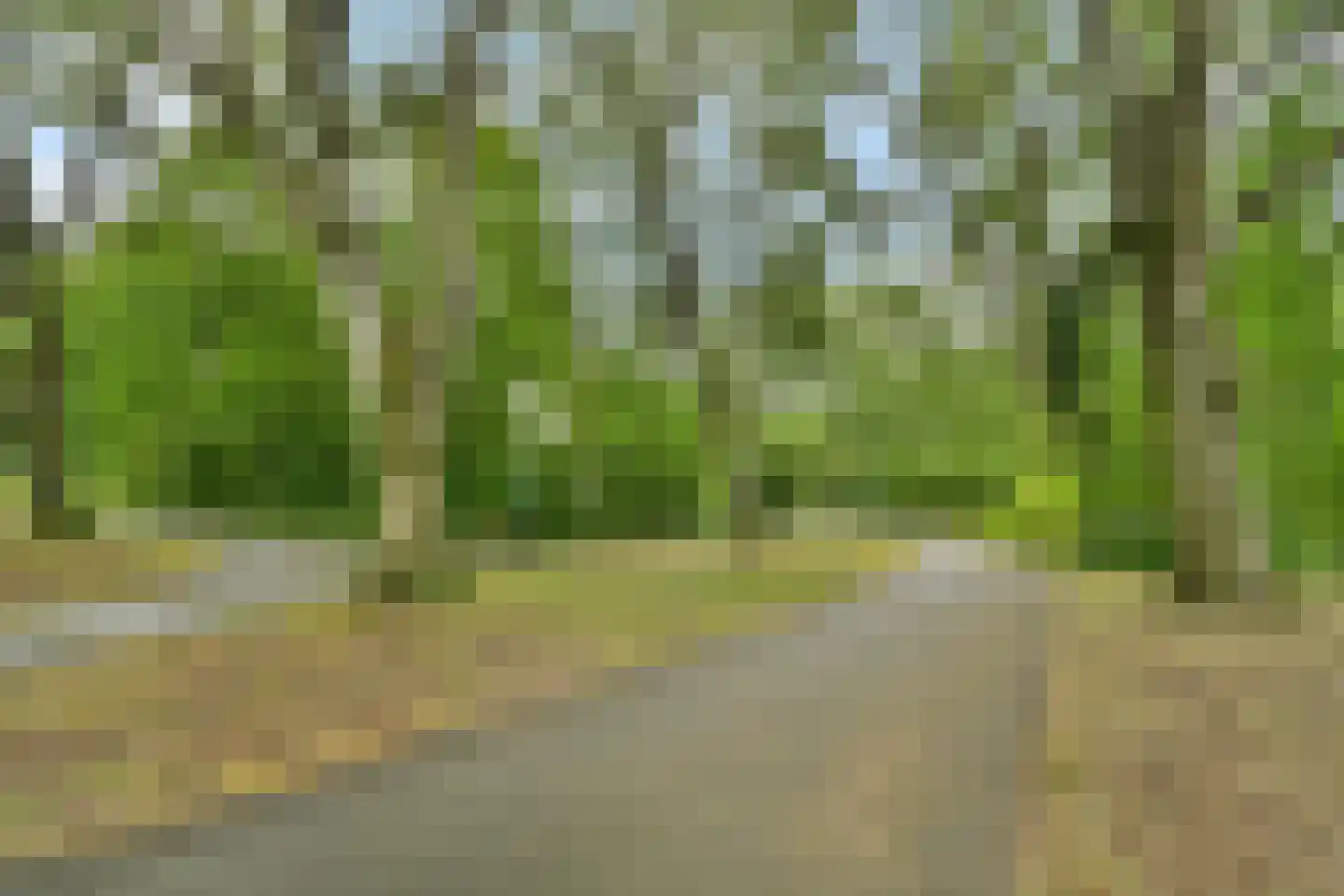 Esdoorndreef 33 Vlaardingen thumbnail 42