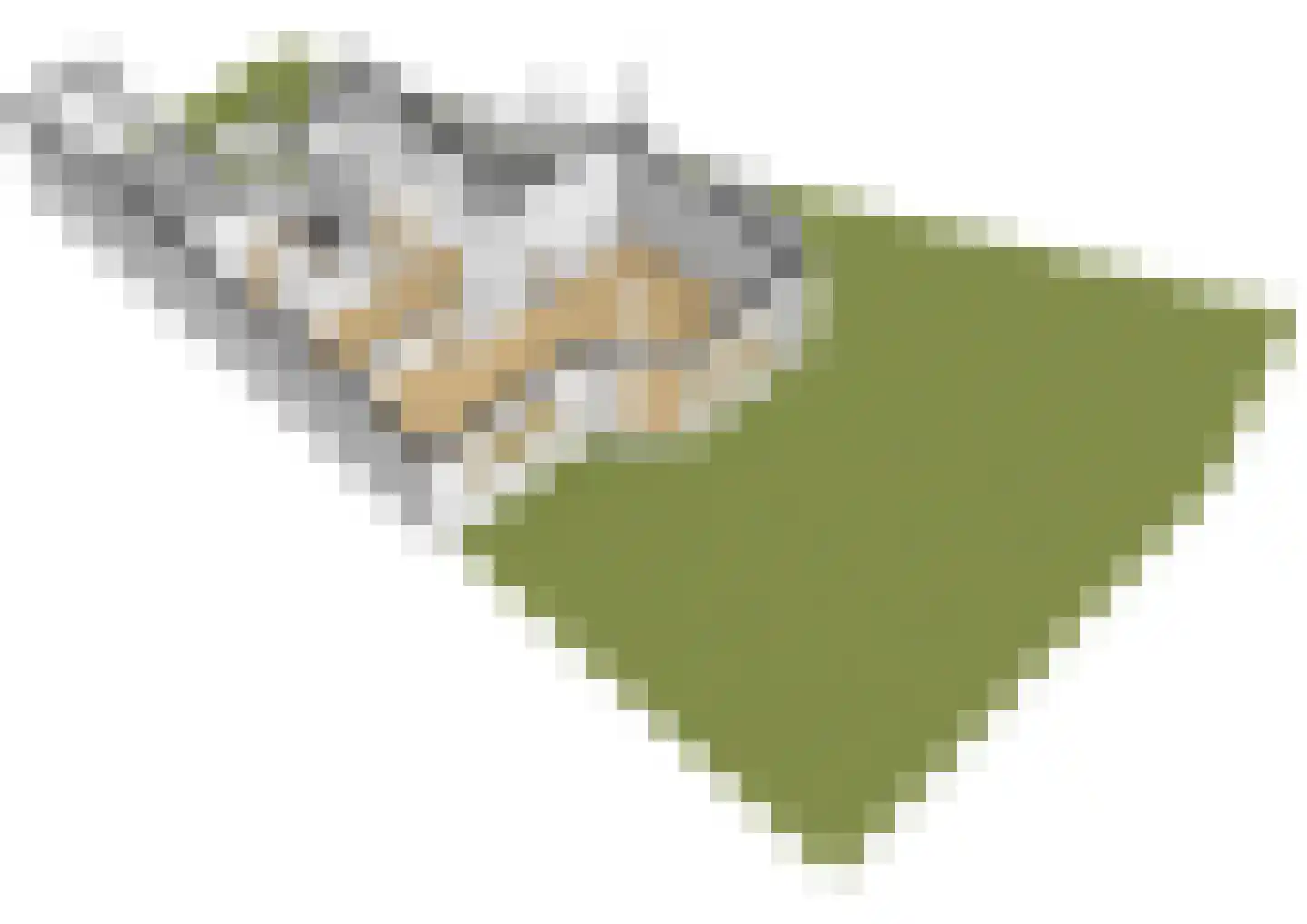 Esdoorndreef 33 Vlaardingen thumbnail 49
