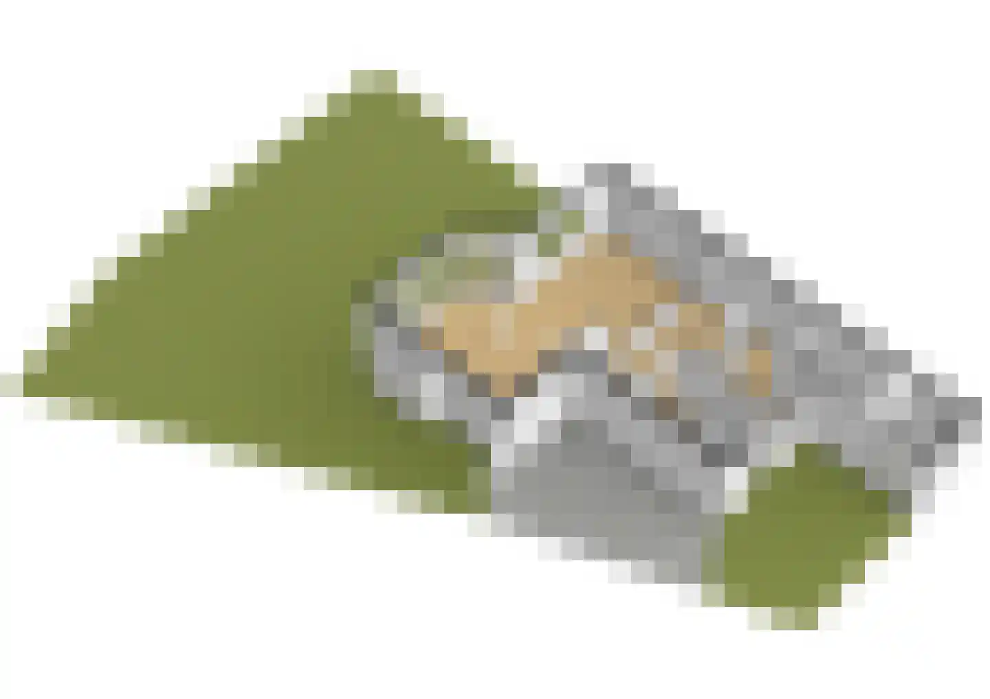 Esdoorndreef 33 Vlaardingen thumbnail 50