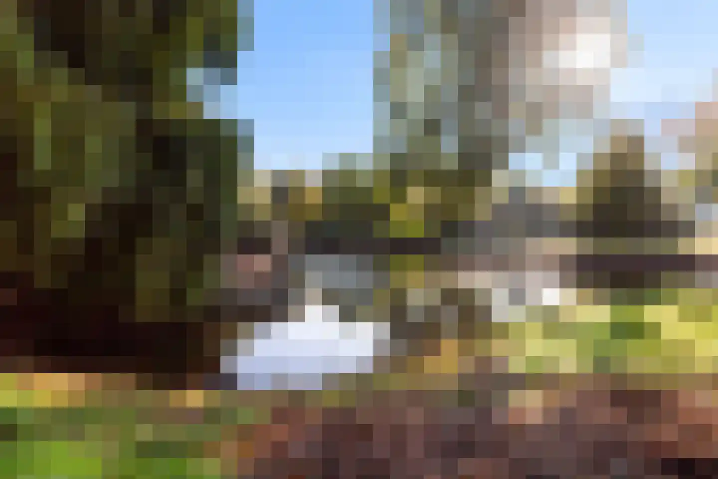 Esdoorndreef 34 Vlaardingen thumbnail 48