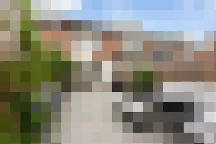 Esdoorndreef 88 Vlaardingen thumbnail 21