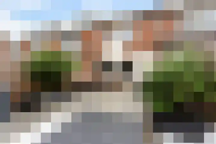 Esdoorndreef 88 Vlaardingen thumbnail 22