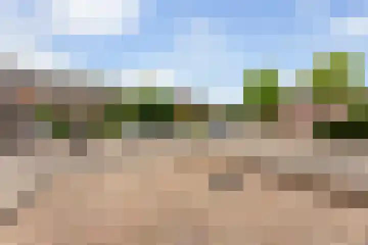 Esdoorndreef 88 Vlaardingen thumbnail 43