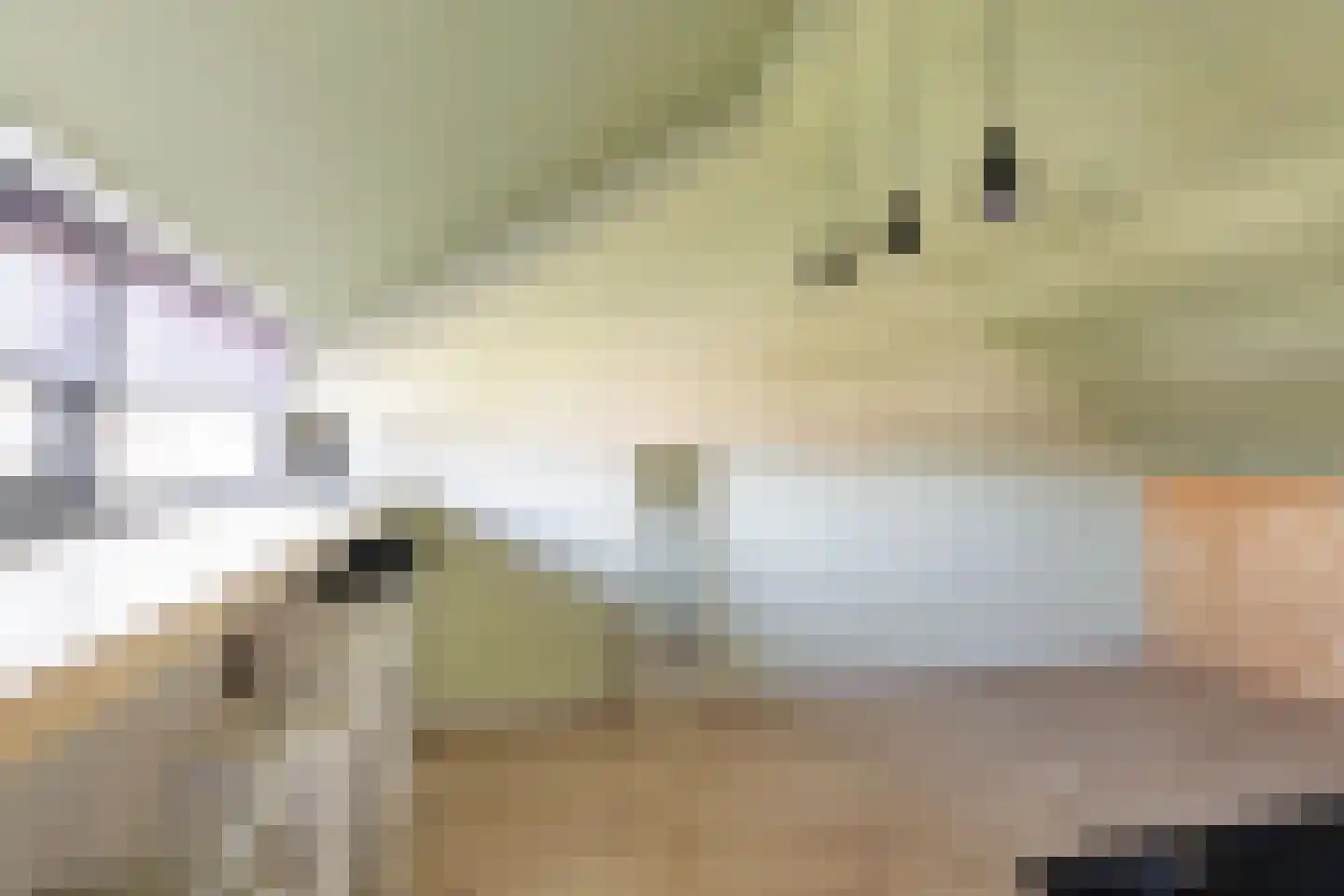 Esdoorndreef 93 Vlaardingen thumbnail 35