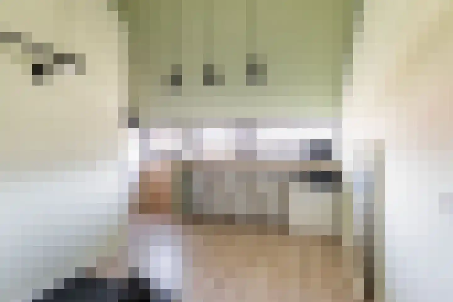 Esdoorndreef 93 Vlaardingen thumbnail 37