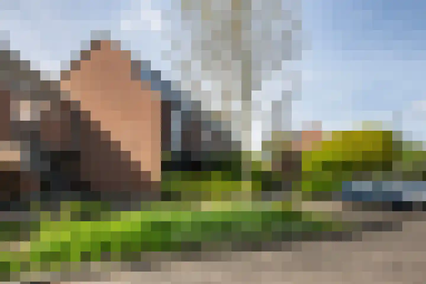 Esdoorndreef 93 Vlaardingen thumbnail 38