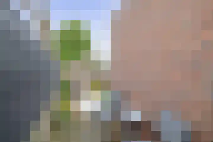 Esdoornhof 11 Dirksland thumbnail 29