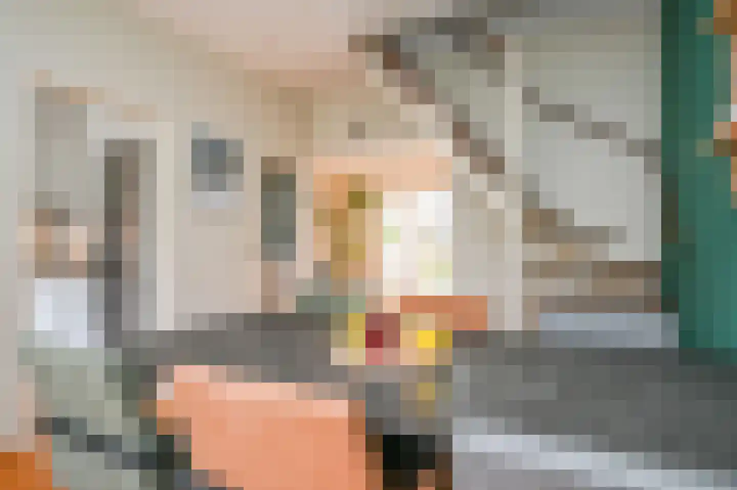 Esdoornhof 11 Nootdorp thumbnail 11