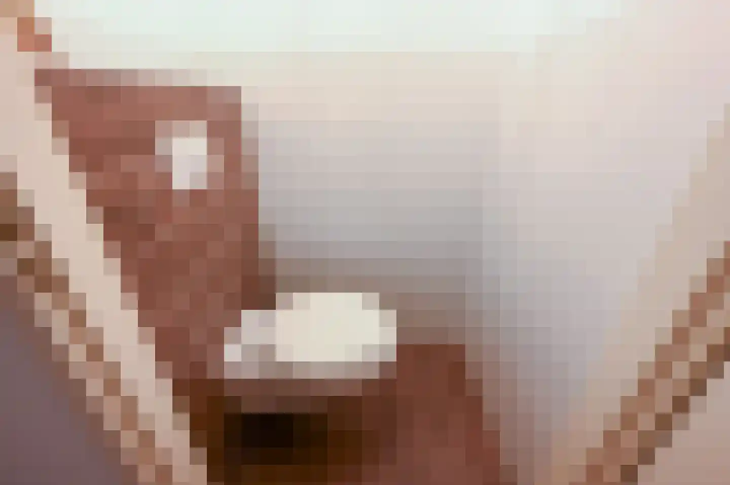 Esdoornhof 11 Nootdorp thumbnail 27