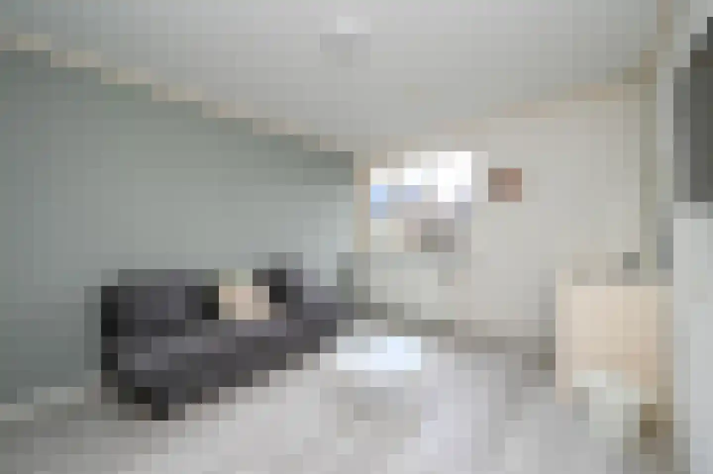 Esdoornhof 11 Nootdorp thumbnail 29