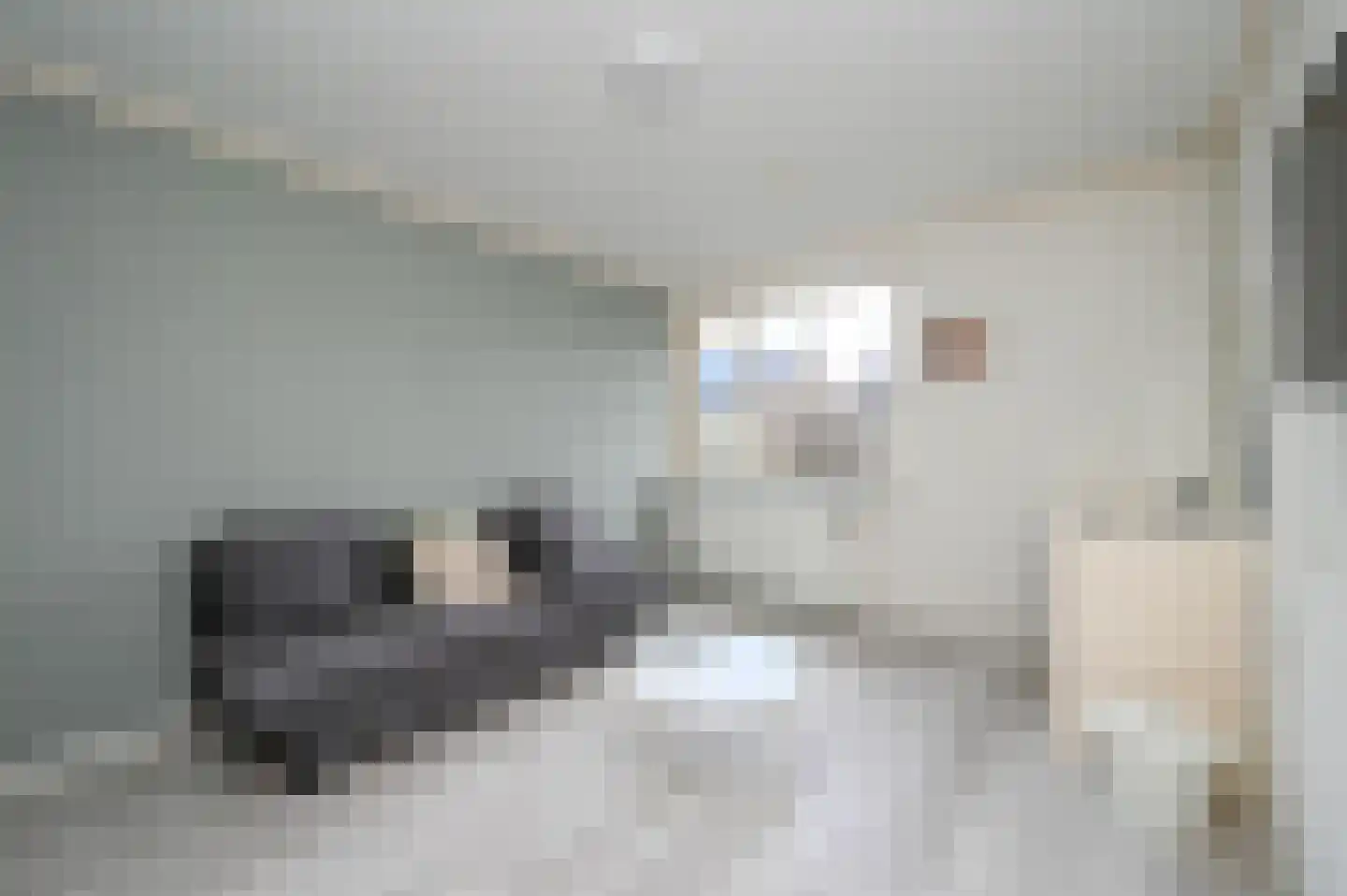 Esdoornhof 11 Nootdorp thumbnail 30