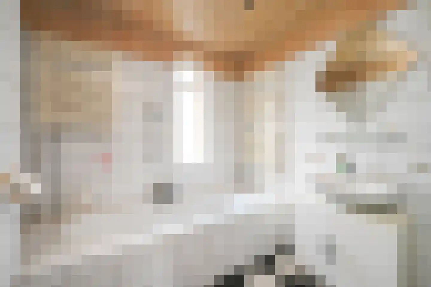 Esdoornhof 11 Nootdorp thumbnail 33