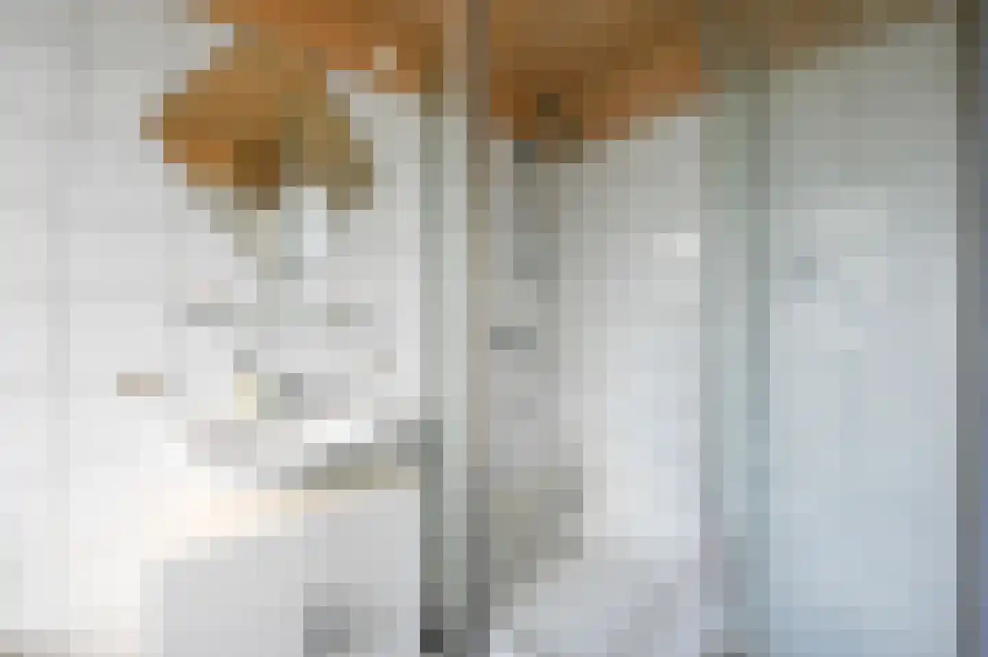 Esdoornhof 11 Nootdorp thumbnail 34