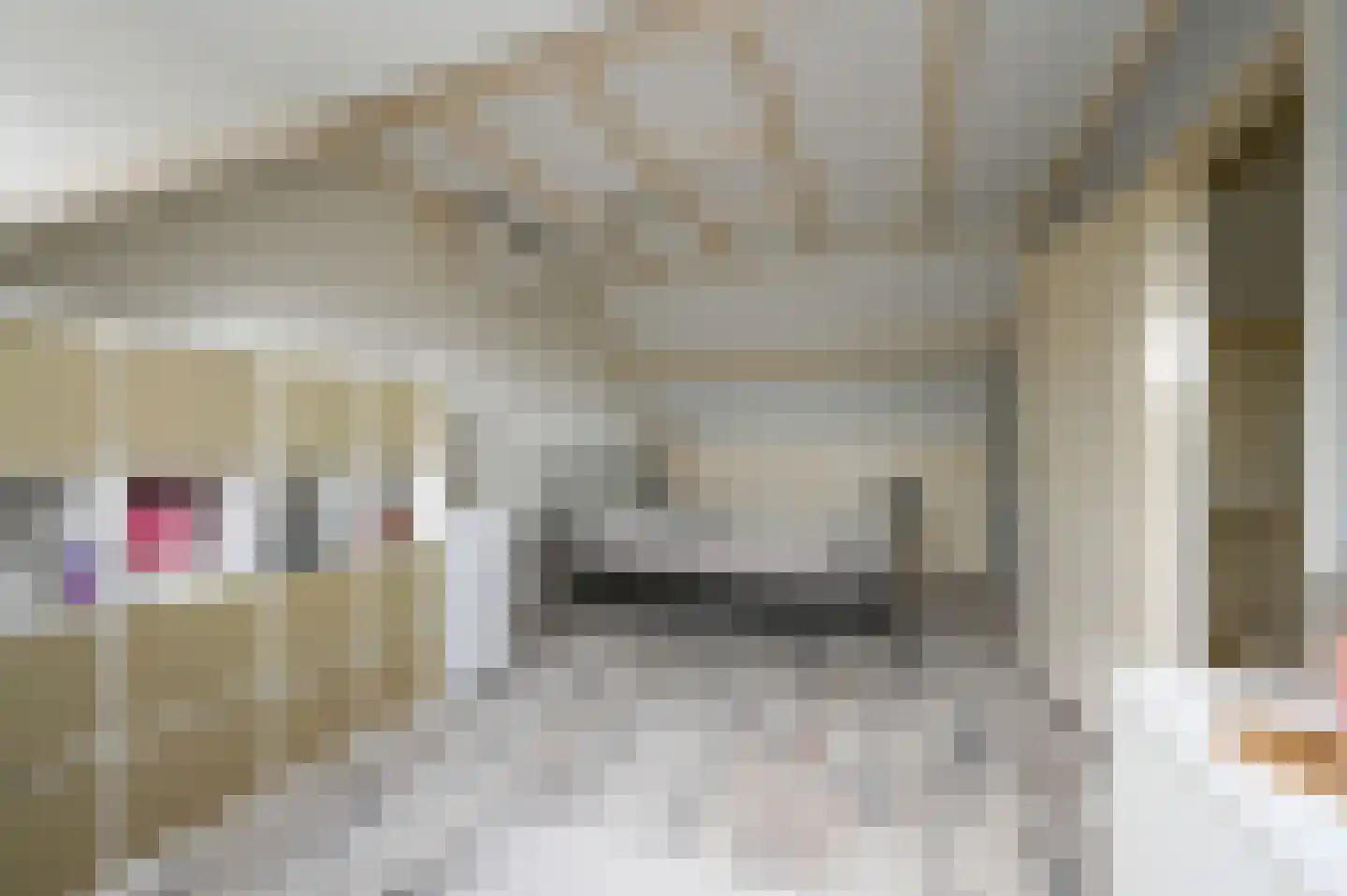 Esdoornhof 11 Nootdorp thumbnail 42