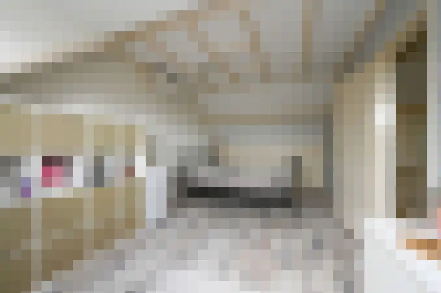 Esdoornhof 11 Nootdorp thumbnail 41