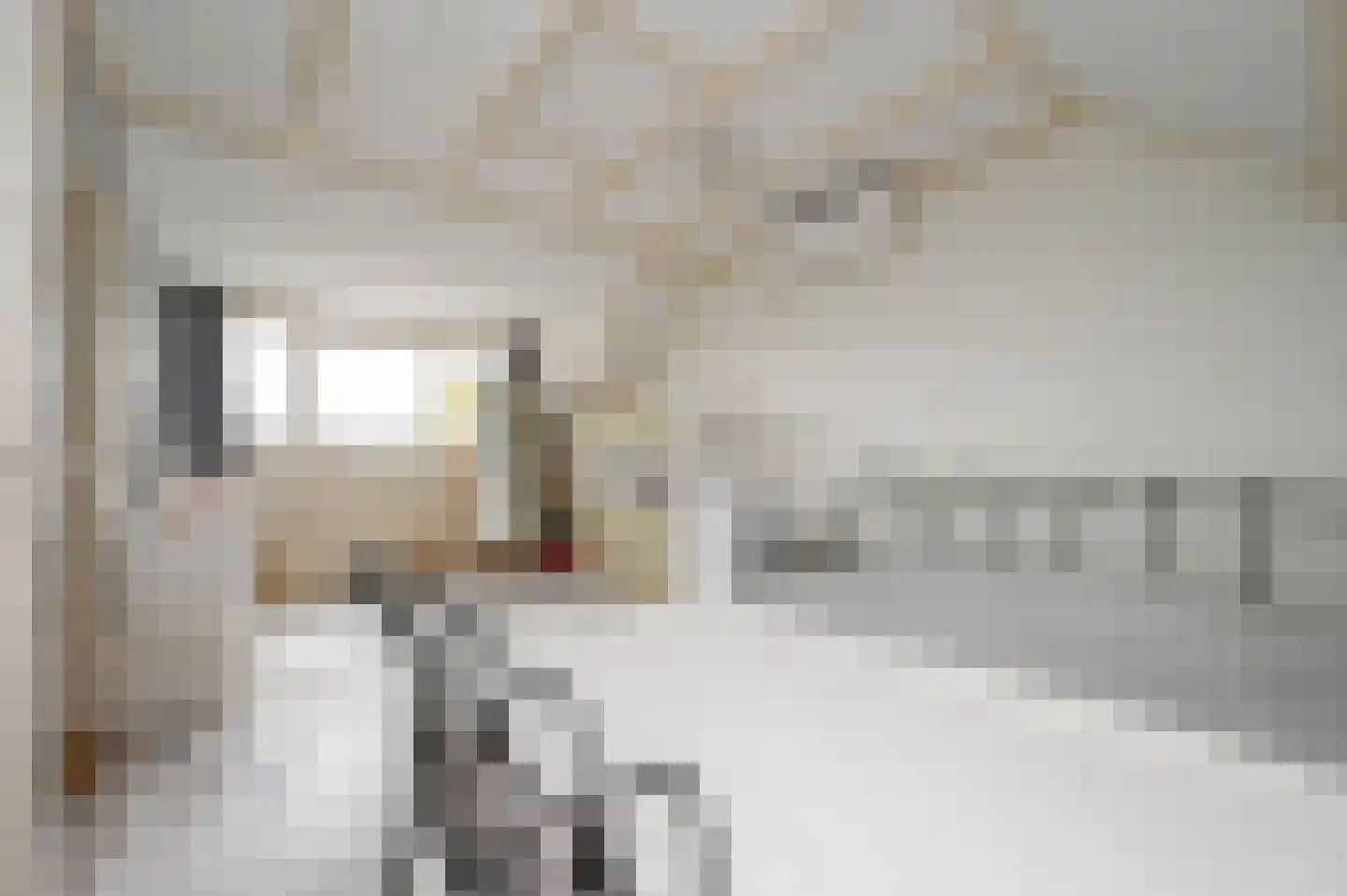 Esdoornhof 11 Nootdorp thumbnail 43