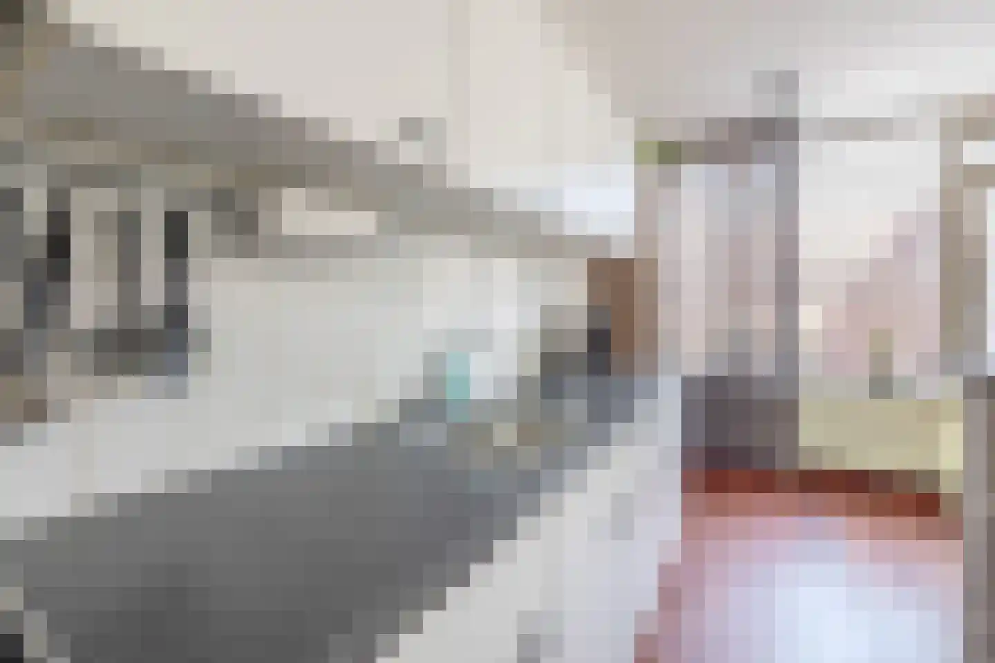 Esdoornhof 15 Dirksland thumbnail 14